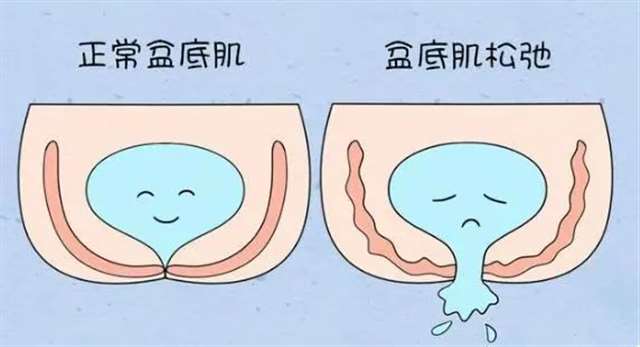 微信圖片_20230413091101_(1).jpg